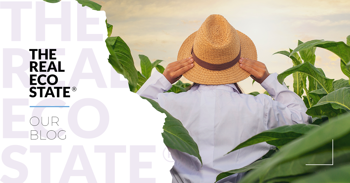 Image showcasing The Real Eco State | Blog