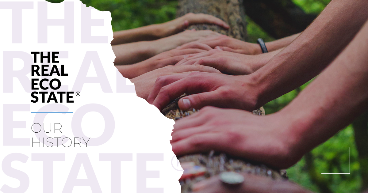 Picture of The Real Eco State | Our history