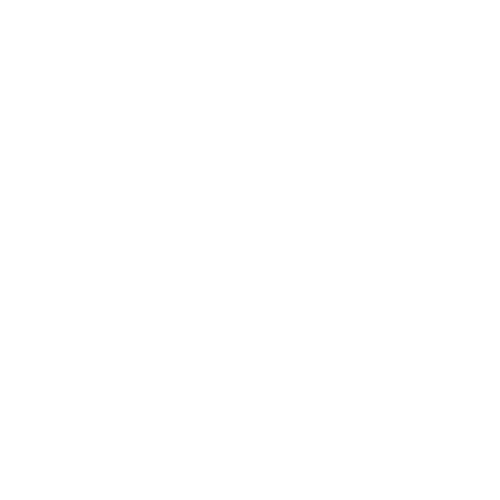 Activo Austral